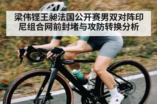 梁伟铿王昶法国公开赛男双对阵印尼组合网前封堵与攻防转换分析